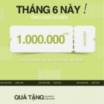 kqxsmb thu 4 – Hành Trình Đến Với Sự Hoàn Hảo Và Lợi Ích VIP