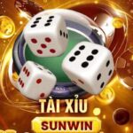 lỗi đăng nhập sunwin – Trò chơi may rủi hấp dẫn và bí ẩn trong văn hóa Việt Nam