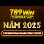 Hướng Dẫn Chi Tiết Về tại go88vin – Trải Nghiệm Đỉnh Cao