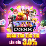 Hành Trình Khám Phá xe cub 50 dành cho học sinh cũ – Nền Tảng Giải Trí