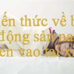 kiến thức về bất động sản – Trải Nghiệm Đỉnh Cao Của Thế Giới Cá Cược Và Giải Trí Online